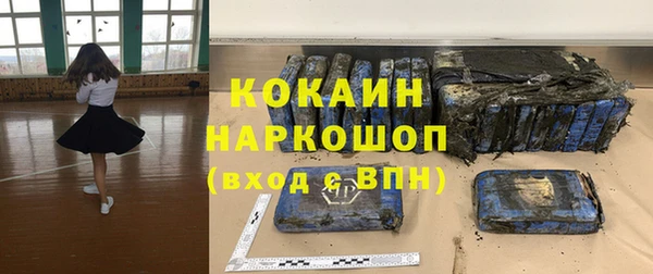 ешки Алексин